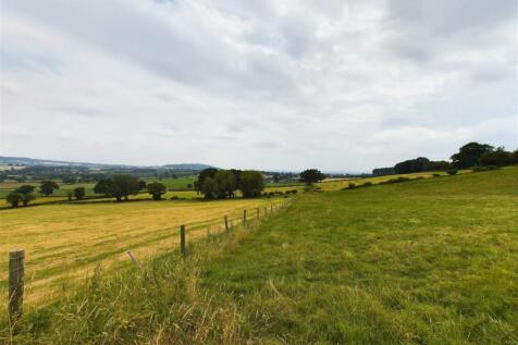 CAM02803G0-PR0109-STILL034.jpg