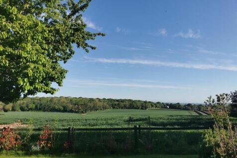 field view 2.jpg