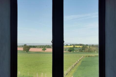 view from living room 2.jpg