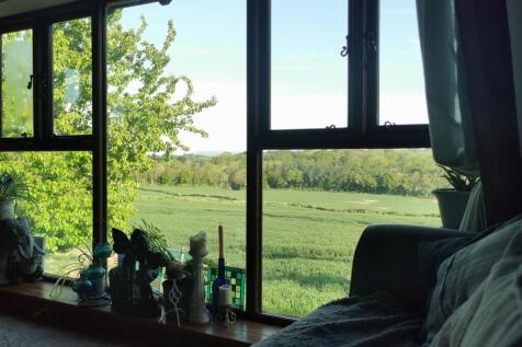 view from living room.jpg