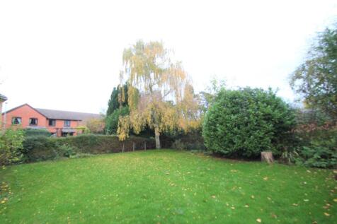 garden 4.JPG