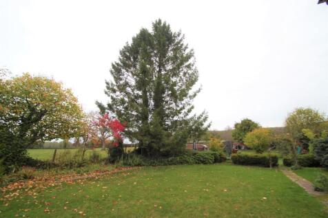 garden5.JPG