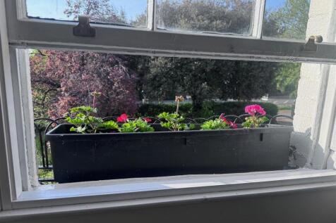 window box.jpg