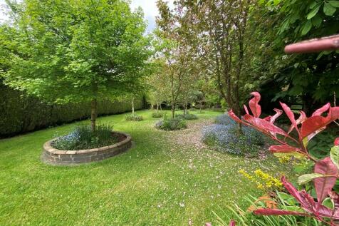 Property Image 36