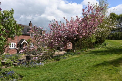 Property Image 49