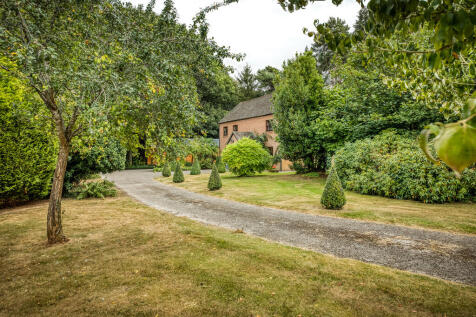 Property Image 42