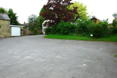 IMG_943_5_large(1...