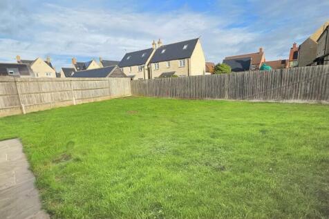 WhatsApp Image 20...