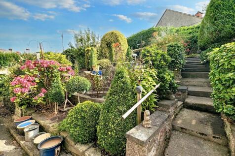 Back Garden