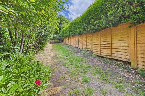 Back Garden