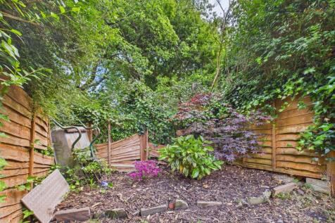 Back Garden