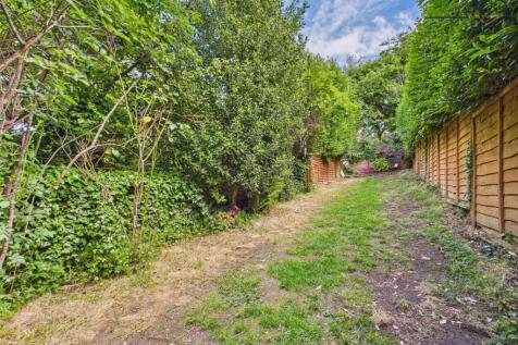 Back Garden