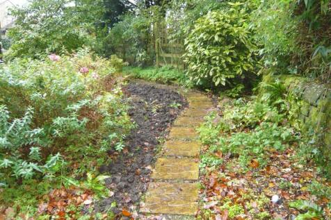 The top garden area is mature and is great for nature