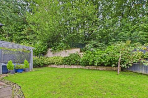Back Garden