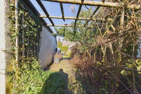 Trellis and Pergola