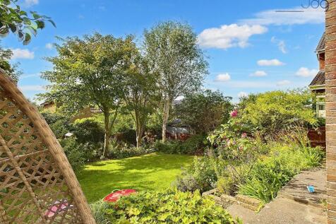 The rear garden