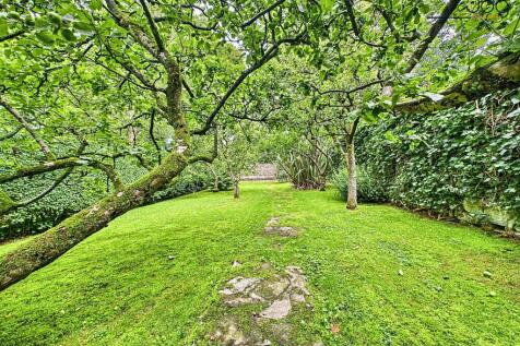 Orchard