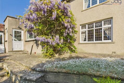 Beautiful Wisteria