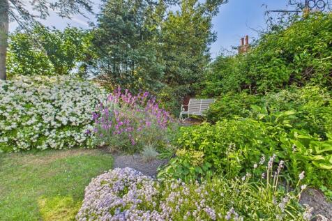 Garden in bloom