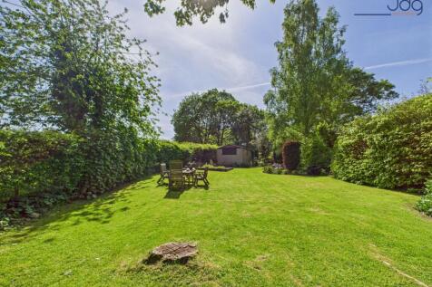 Spacious garden