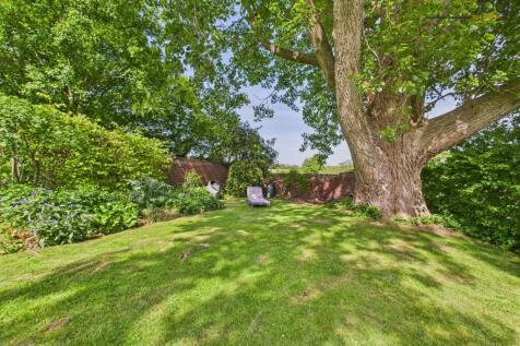 Spacious garden