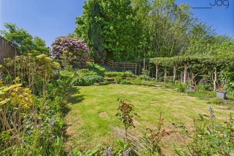 Back Garden