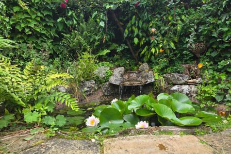 Pond
