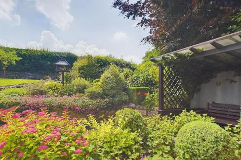 Back Garden