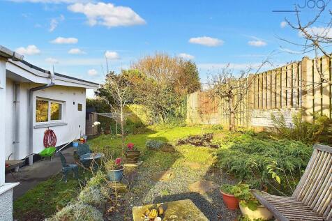 Back Garden