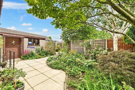 Back Garden