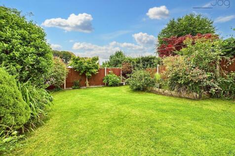 Back Garden