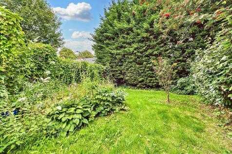 Back Garden