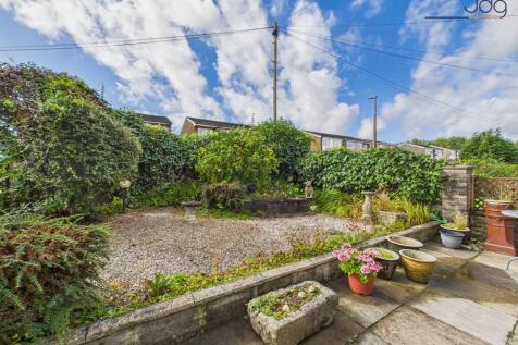 Back Garden