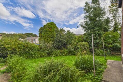 Mature Garden