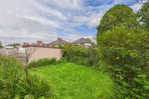 Mature Garden