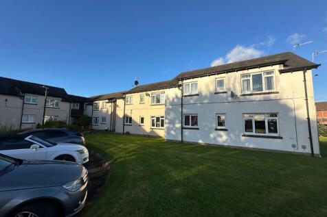 Welcome to Maple Road