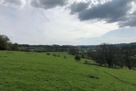 Photo 07