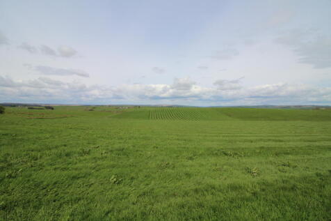 Photo 04