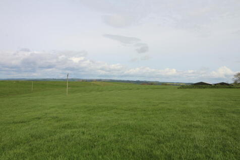 Photo 05