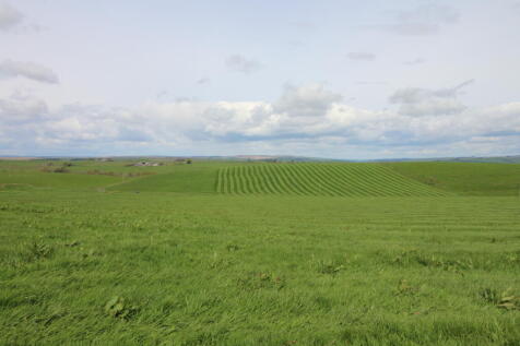 Photo 08