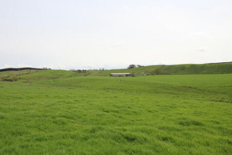 Photo 09