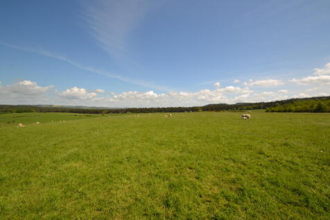Lot 1