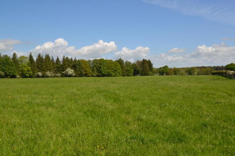 Lot 1