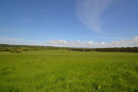 Photo 04