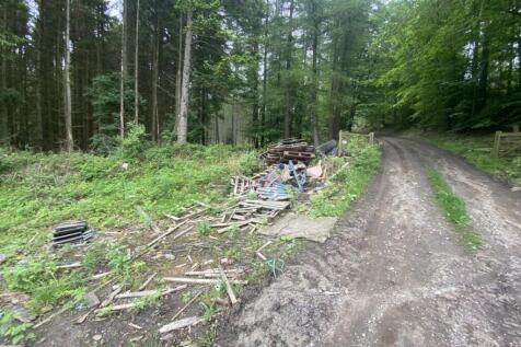Photo 05