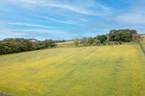 DJI_0531