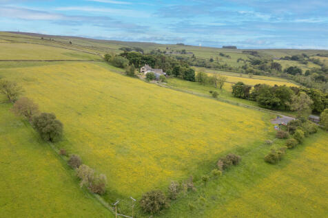 DJI_0536