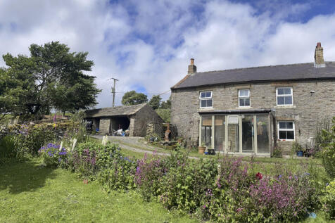 Scotch Meadows-9