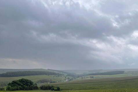 Scotch Meadows-2