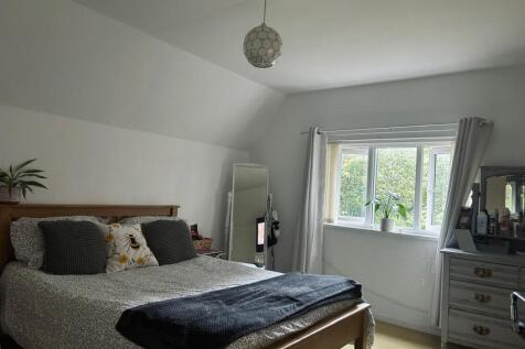 WhatsApp Image 2024-